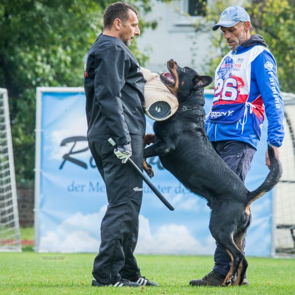 IFR 2023 Czech Republic