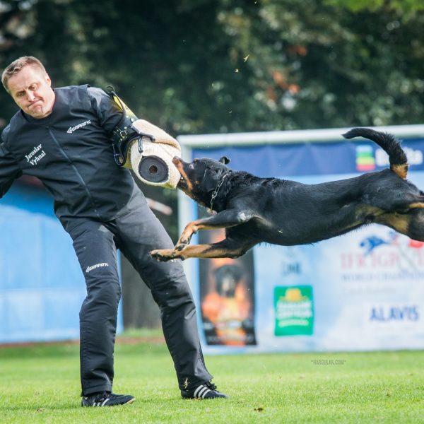 IFR 2023 Czech Republic